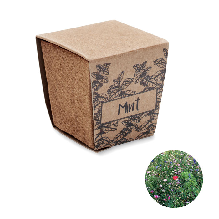 MINT KIT – Kit per coltivare la menta in vaso