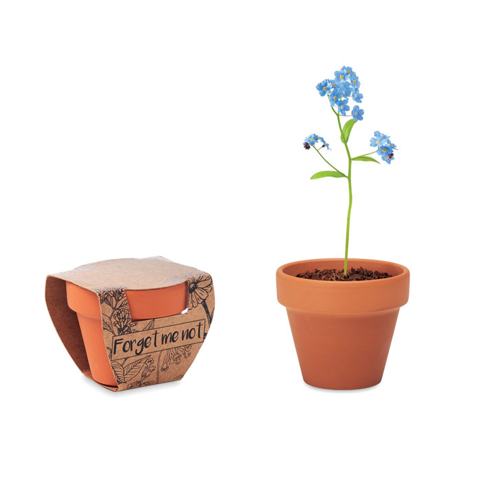 FORGET ME NOT – Vaso in terracotta con semi da fiorire