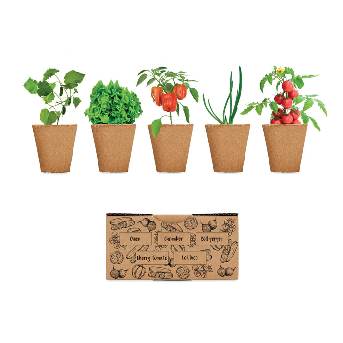 SALAD – Kit per coltivare insalata in casa