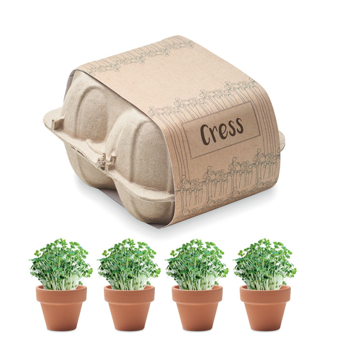 CRESS – Kit di coltivazione con semi di crescione